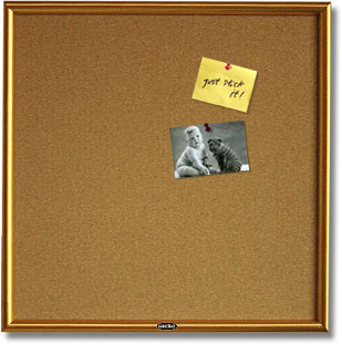 Cork Bulletin Boards With Golden Wood Frame